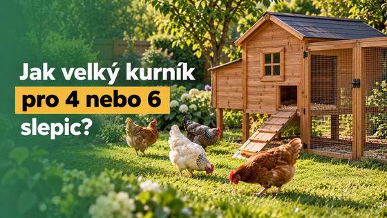 Jak velký kurník pro 4 nebo 6 slepic?