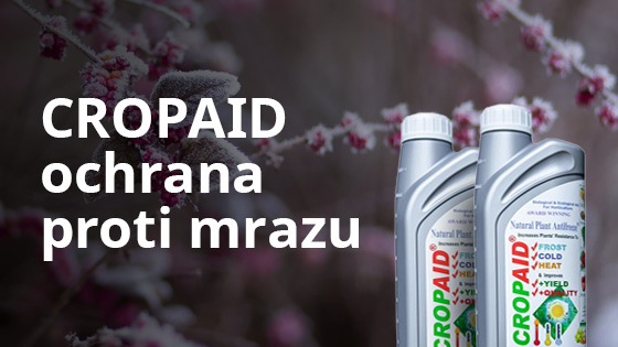 CROPAID – ochrana proti mrazu