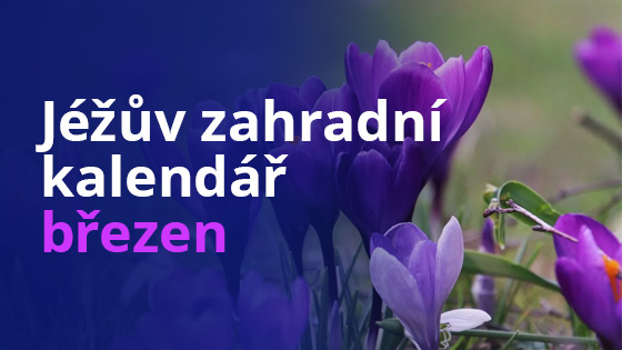 Jéžův zahradní kalendář – březen