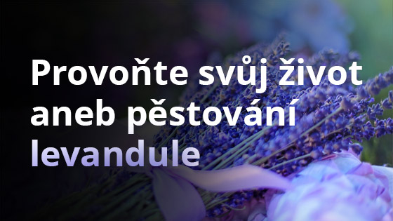Provoňte svůj život aneb pěstování levandule