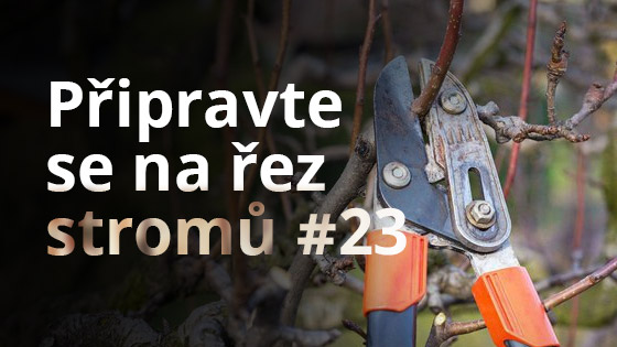 Připravte se na řez stromů #23