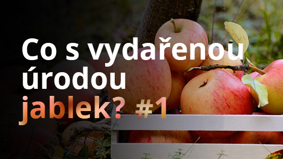 Co s vydařenou úrodou jablek? #1