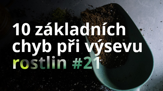 10 základních chyb při výsevu rostlin #21