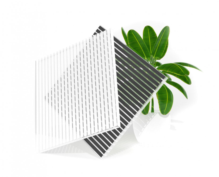 Zebraplatte_Produktbild_Muster_vor_Pfllanze-1-1200x970