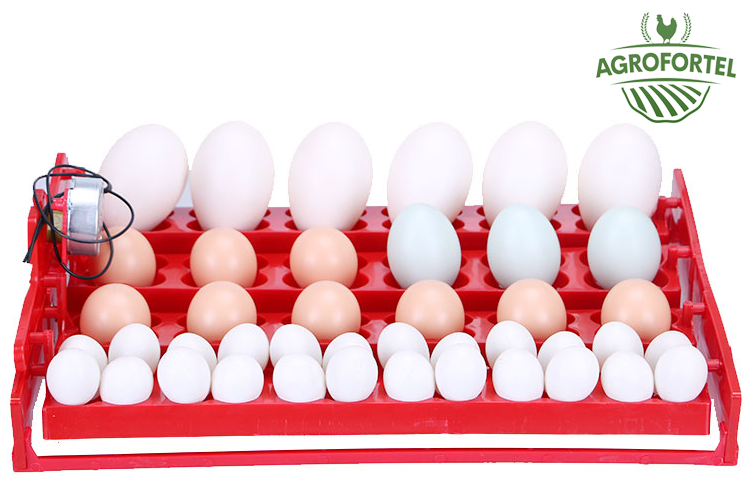 automaticka-digitalni-lihen-wq-24-s-dolihni-a-vlhkomerem-a-kombi-drzaky-vajec-doprava-zdarma-pro-24-96-vajec-na-kachni-i-husi-vejce-a6257