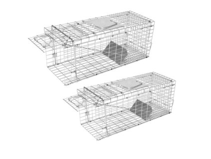 0312868c875543245d168d39ef3caedb 750x750