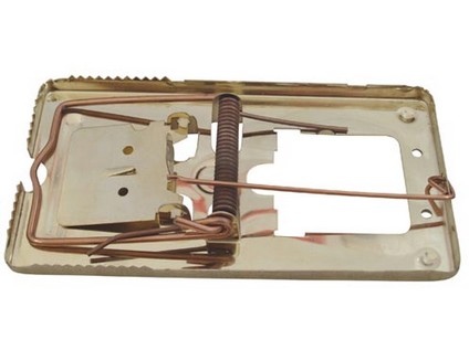 M.A.T. Past na krysy Ms