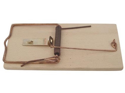 Past na myši dřev.   (2ks) MA447631