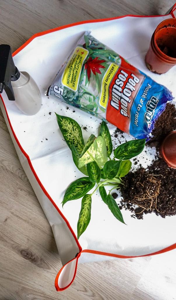 Podložka pro přesazování a sázení rostlin EZ1