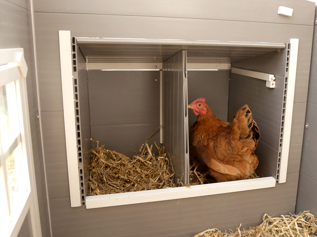 Kurník pro slepice KERBL BARNEY BS0406 (obrázek 6)