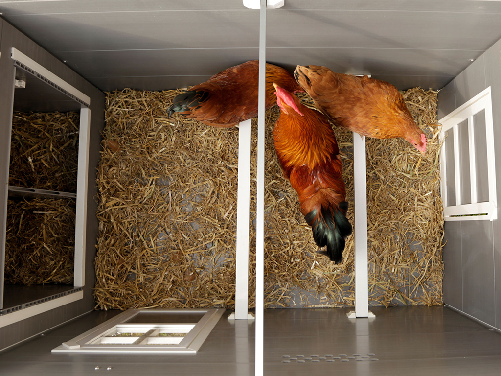 Kurník pro slepice KERBL BARNEY BS0406 (obrázek 8)