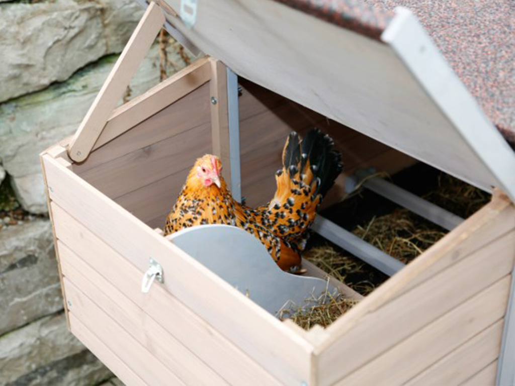 Kurník pro slepice KERBL BONNY BS0405 (obrázek 6)