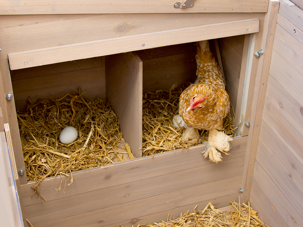 Kurník pro slepice KERBL EMMA BS0404 (obrázek 6)