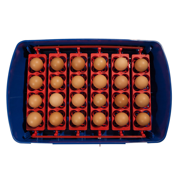 Agrofortel Líheň na vejce BOROTTO REAL 24