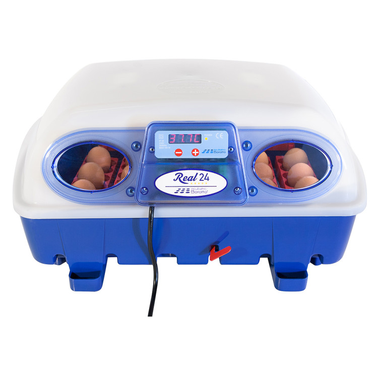 Agrofortel Líheň na vejce BOROTTO REAL 24