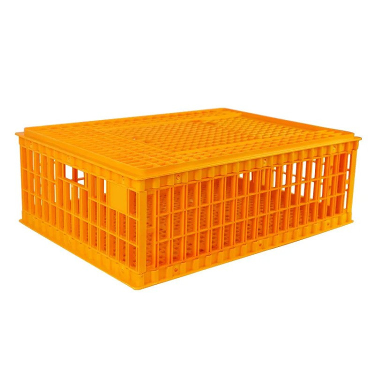 Agrofortel Přepravní box na drůbež AGF29 - 75 x 55 x 29 cm, skládací (obrázek 4)