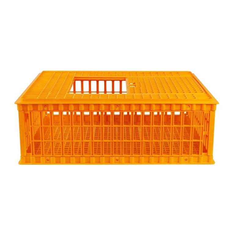 Agrofortel Přepravní box na drůbež AGF29 - 75 x 55 x 29 cm, skládací