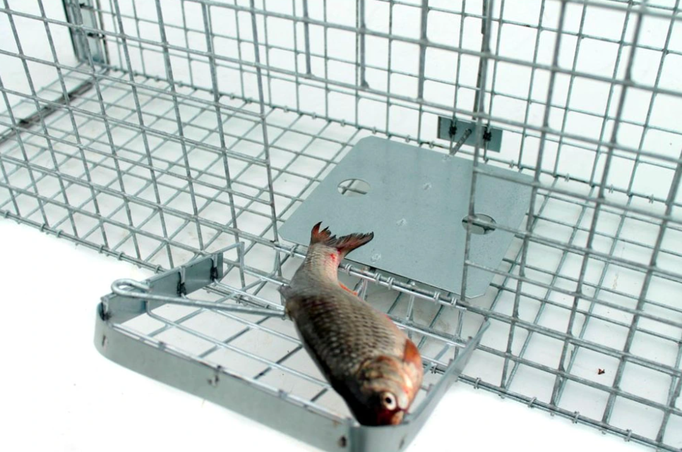 Agrofortel Profesionální past na lišky, kuny, vydry a kočky TRAP ST118x34x34V2