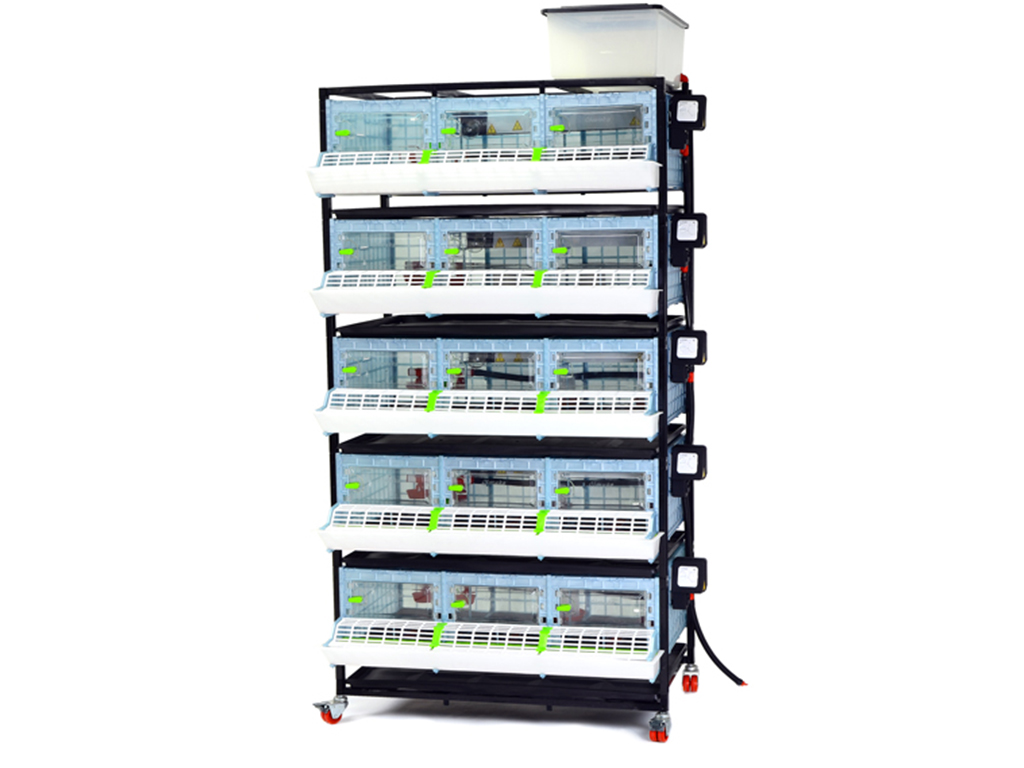 Bravson Odchovna drůbeže CIMUKA CB25-03-5K