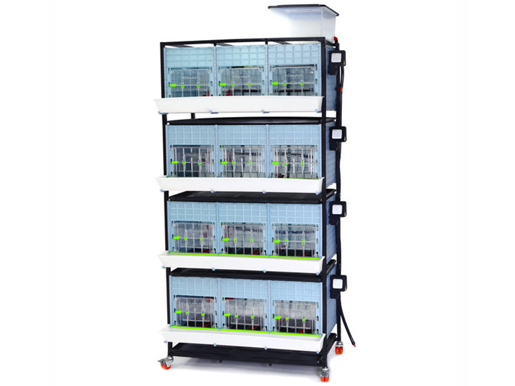 Bravson Odchovna drůbeže CIMUKA CB40-03-4K