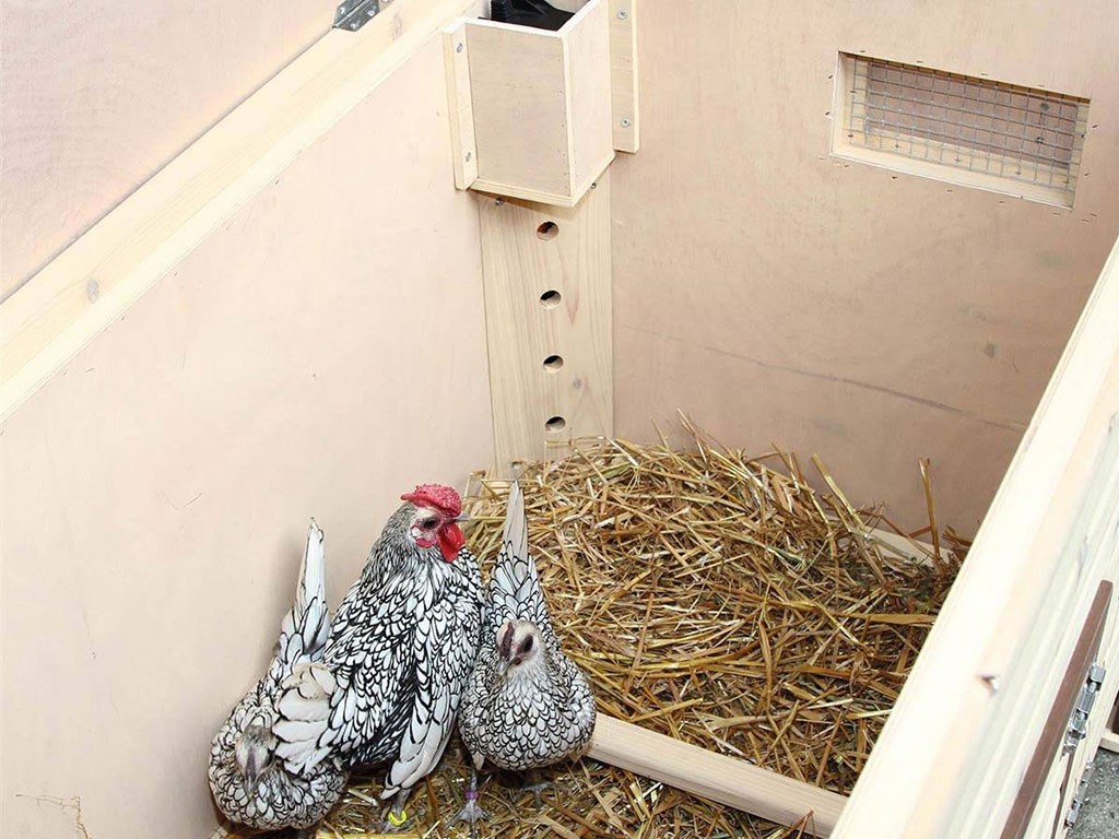 Zateplený vyhřívaný kurník pro slepice KERBL 82844 NO FROST (obrázek 8)