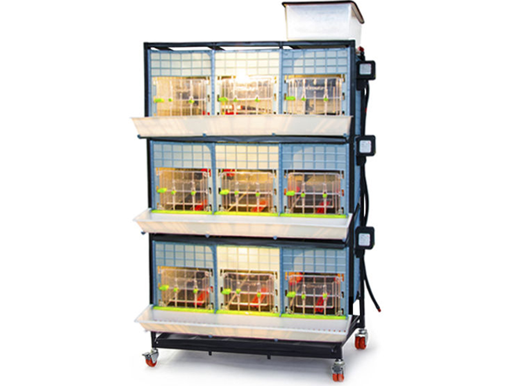 Bravson Odchovna drůbeže CIMUKA CB40-03-3K