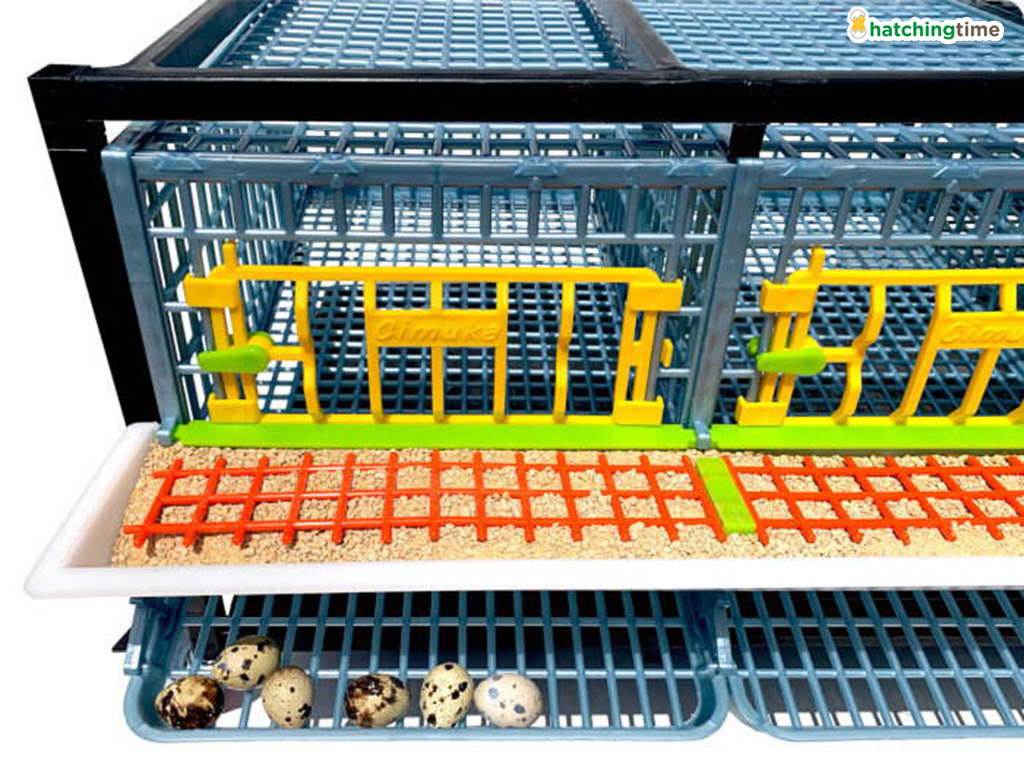 Bravson Klec pro křepelky CIMUKA BYK-03-5K - Obrázek 4