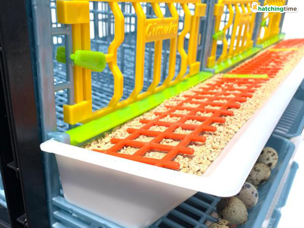 Bravson Klec pro křepelky CIMUKA BYK-03-5K - Obrázek 5