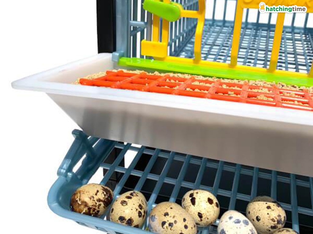 Bravson Klec pro křepelky CIMUKA BYK-03-5K - Obrázek 6