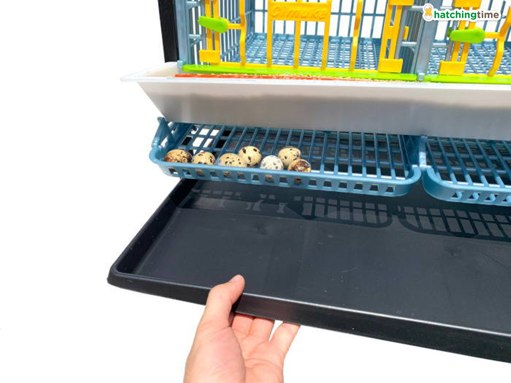 Bravson Klec pro křepelky CIMUKA BYK-03-5K - Obrázek 7