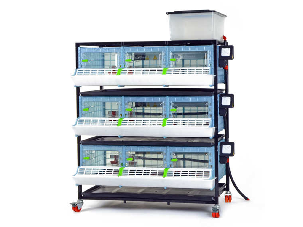 Bravson Odchovna drůbeže CIMUKA CB25-03-3K