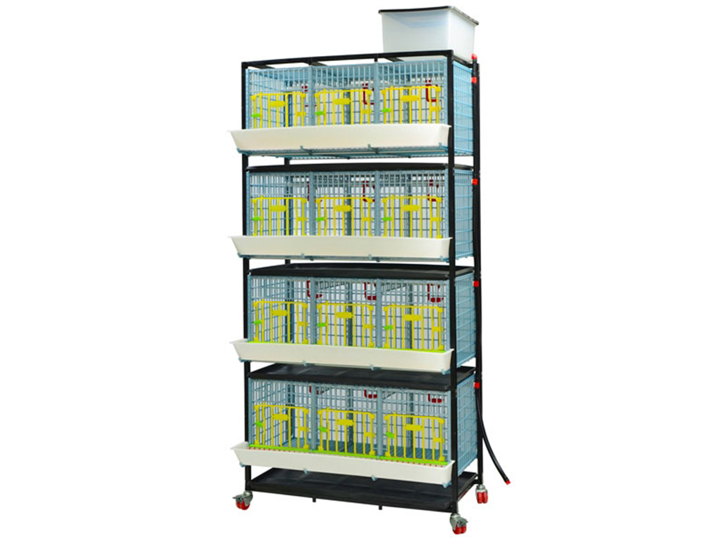 Bravson Klec pro odchov drůbeže CIMUKA GL40-03-4K