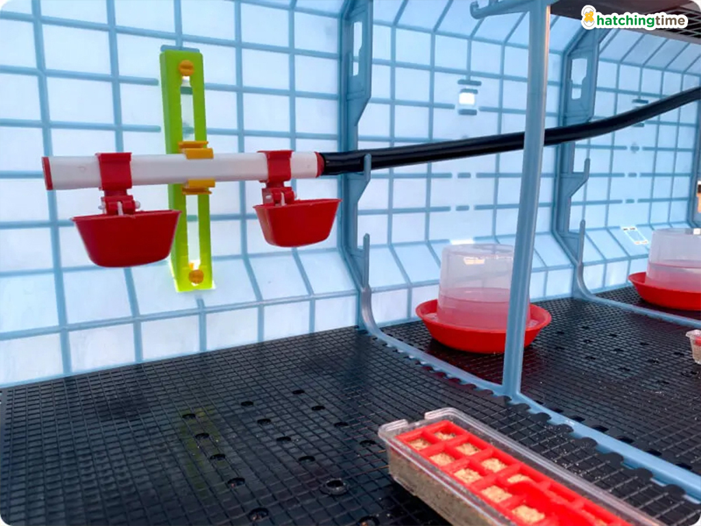 Bravson Odchovna drůbeže CIMUKA CB40-03-2K - Obrázek 6