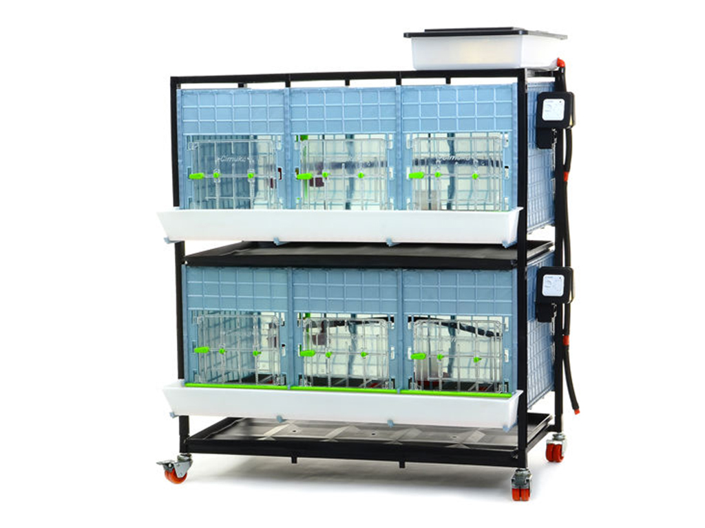 Bravson Odchovna drůbeže CIMUKA CB40-03-2K