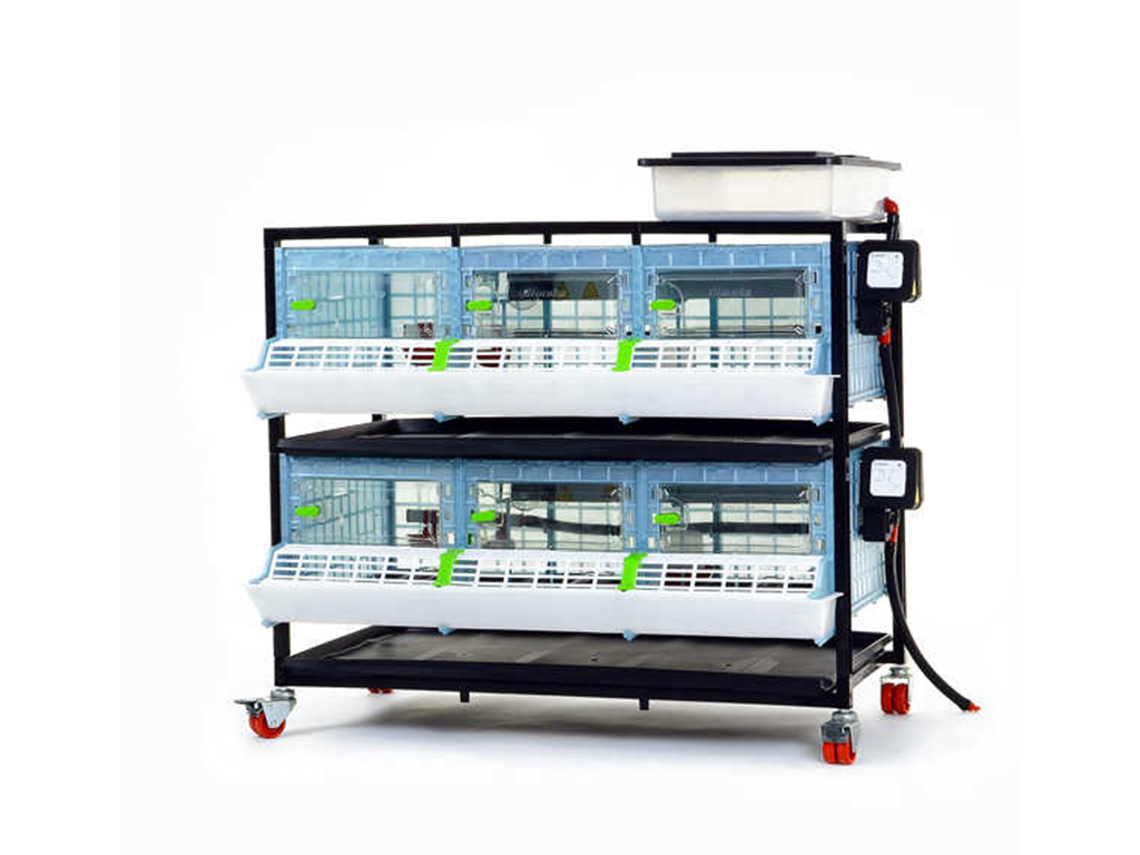 Bravson Odchovna drůbeže CIMUKA CB25-03-2K