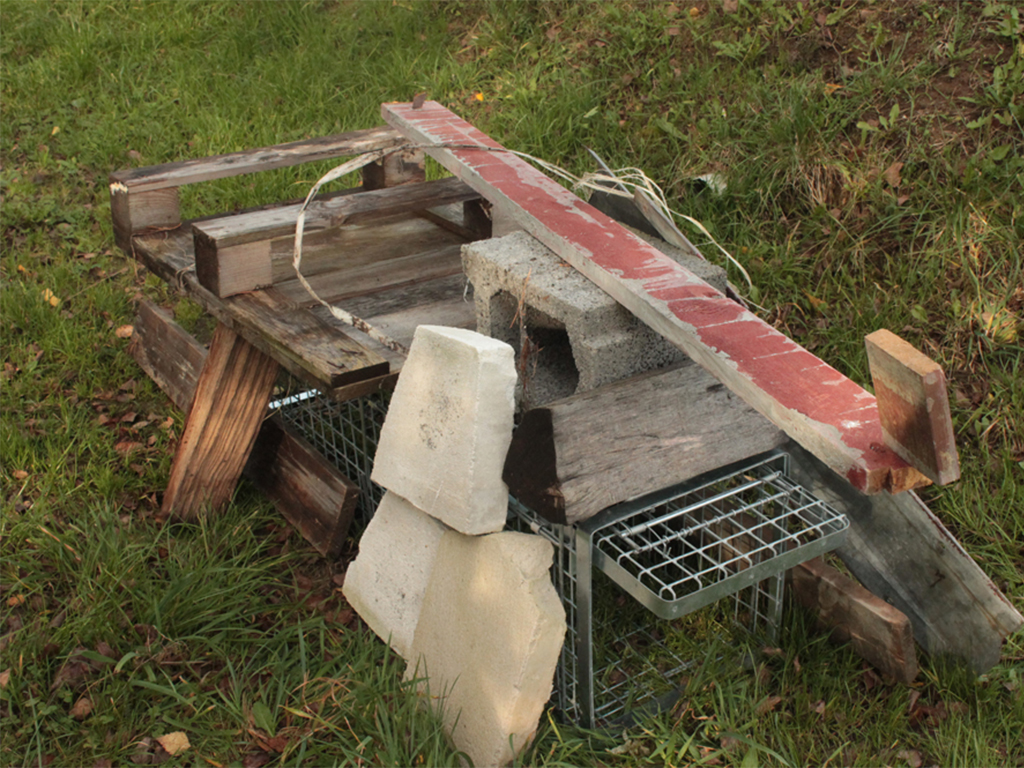 Bravson Profesionální past na lišky, kuny, vydry a kočky TRAP H130x34x34V2 (obrázek 10)