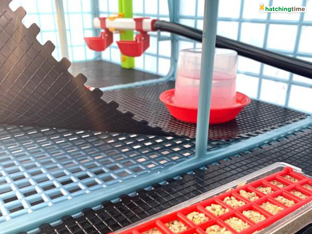 Bravson Přídavná odchovna drůbeže CIMUKA CB40-03-TA - Obrázek 6