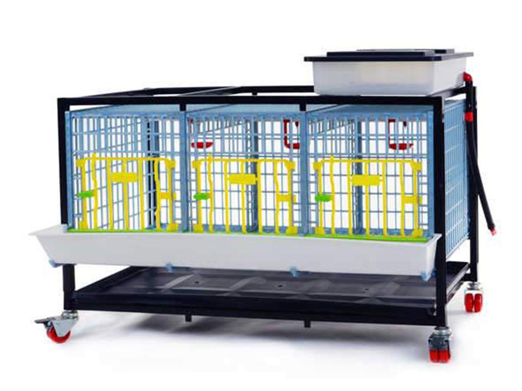 Bravson Klec pro odchov drůbeže CIMUKA GL40-03-1K