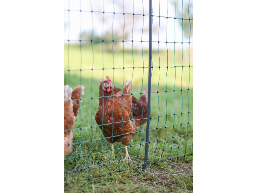 Nevodivá síť pro drůbež KERBL 292411 PREMIUM, 122 cm x 50 m / 2 hroty (obrázek 5)