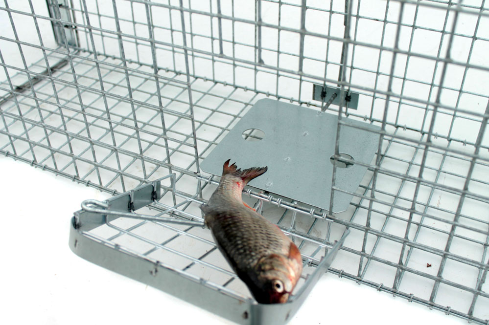 Profesionální past na lišky, kuny, vydry a kočky TRAP ST118x34x34V2 (obrázek 7)
