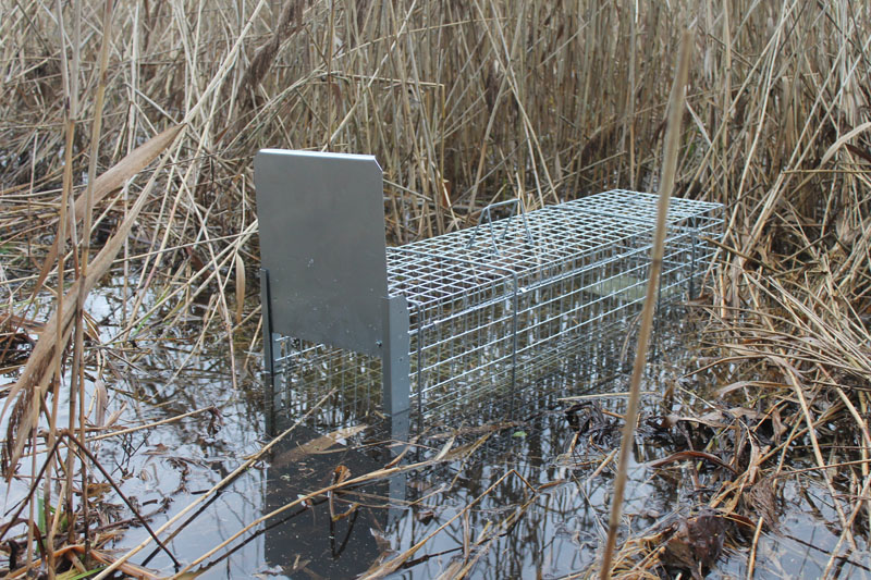 Bravson Profesionální past na lišky, kuny, vydry a kočky TRAP ST118x34x34V1 (obrázek 8)