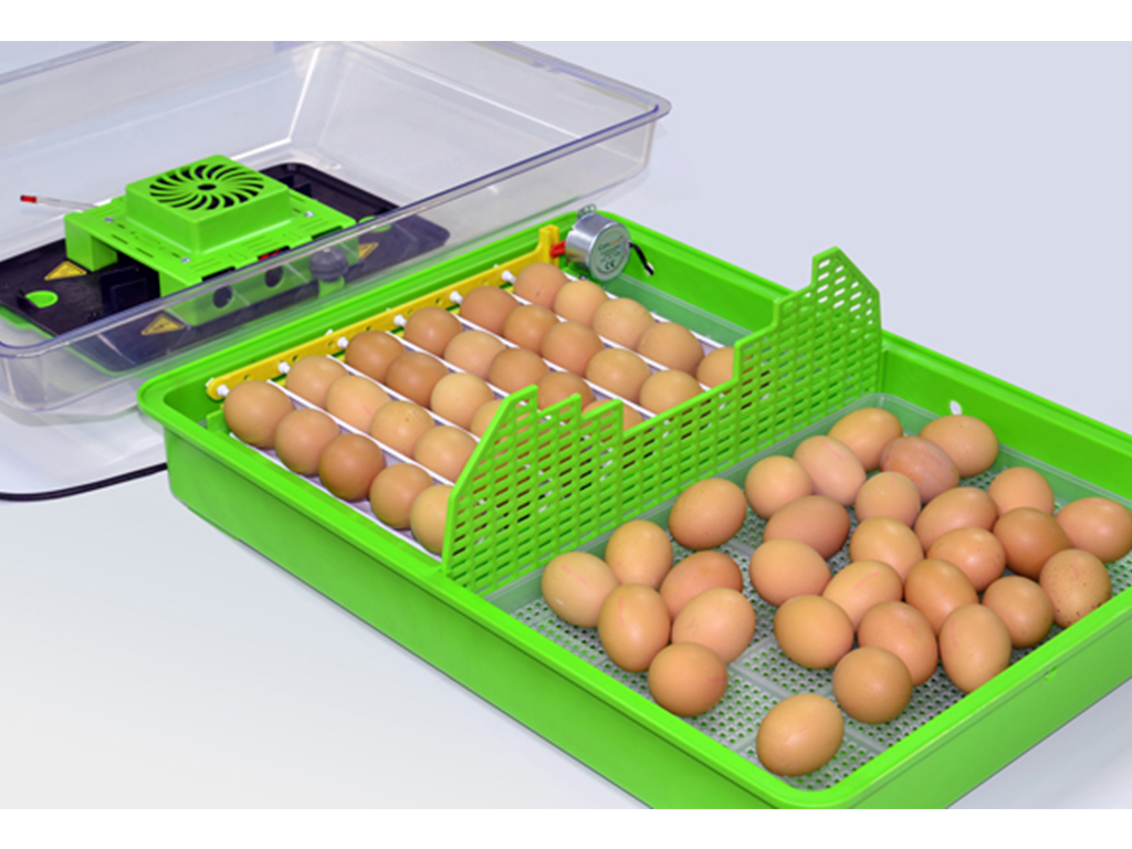 Bravson Automatická líheň na vejce CIMUKA PD60SH AUTOMATIC