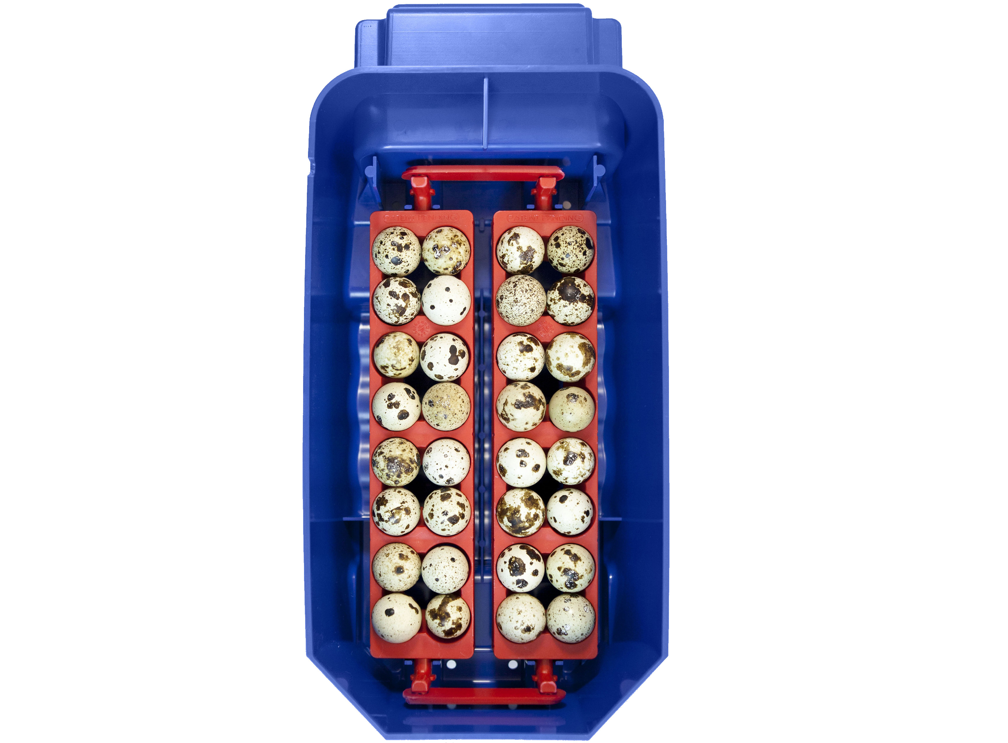 Automatická líheň na vejce BOROTTO LUMIA 8 AUTOMATIC (obrázek 4)