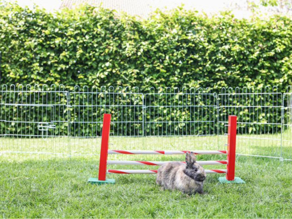 Agility střední překážka pro králíky a jiné hlodavce KERBL 82859 UPRIGHT JUMP, 30x62cm (obrázek 4)