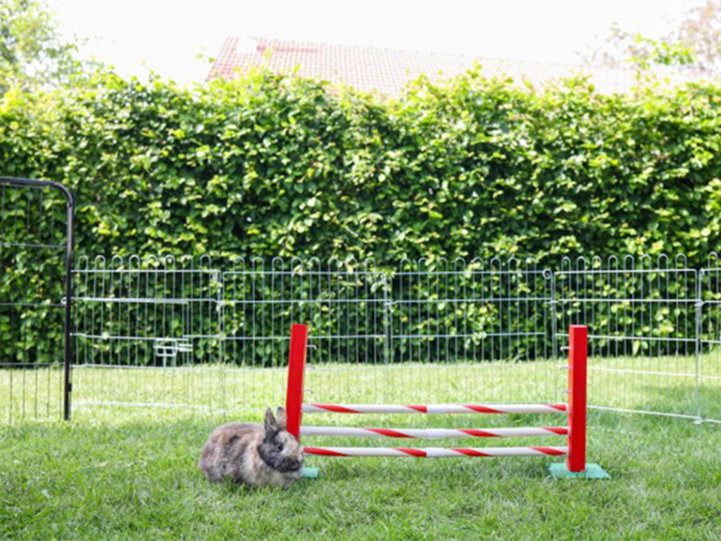 Agility střední překážka pro králíky a jiné hlodavce KERBL 82859 UPRIGHT JUMP, 30x62cm (obrázek 5)