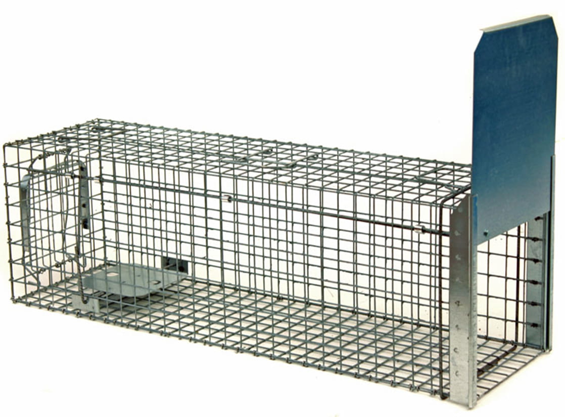 Zielolapka Past na kuny, kočky, potkany, krysy, lasičky a tchoře TRAP ZL80x26x26