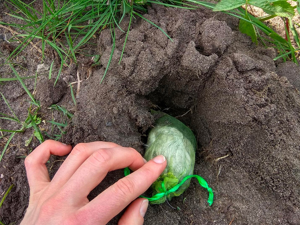 Kunagone Pachový odpuzovač krtků KUNAGONE, set 10 ks (obrázek 7)