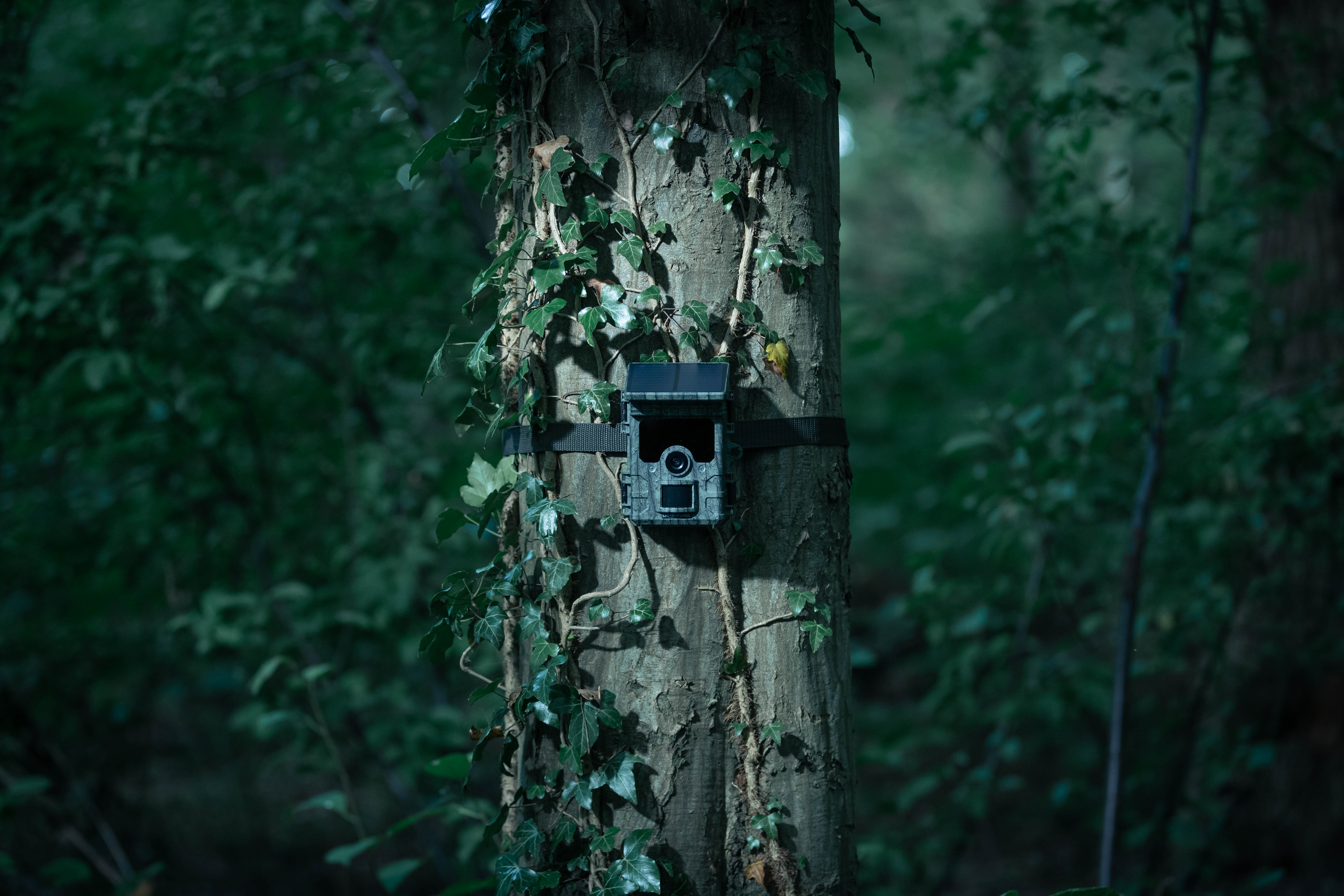 Fotopast Camouflage EZ-Solar Wifi/Bluetooth (obrázek 9)