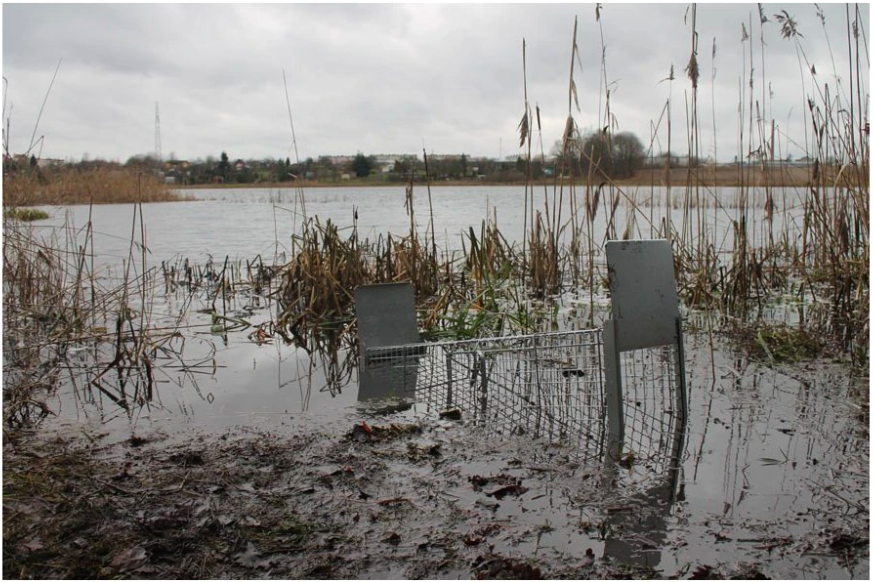 Agrofortel Profesionální past na lišky, kuny, vydry a kočky TRAP ST130x34x34V2