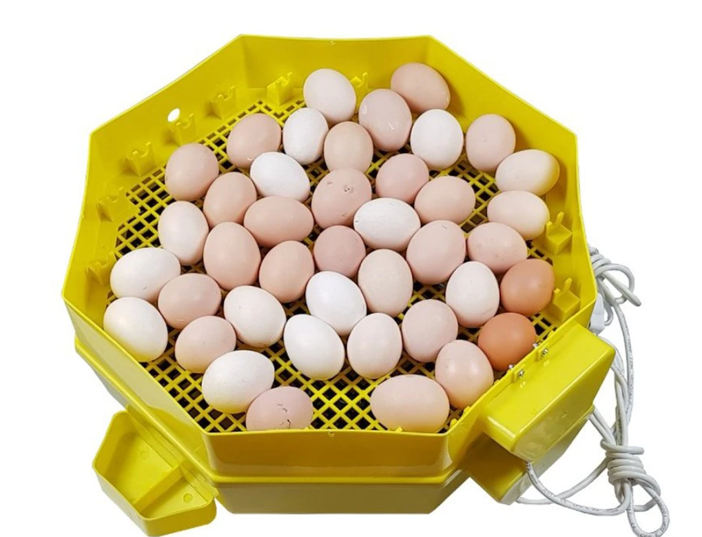 Vivatechnix Umělá líheň CLEO 5x2 DT, elektrická, 110W, 82-120 ks vajec (obrázek 3)